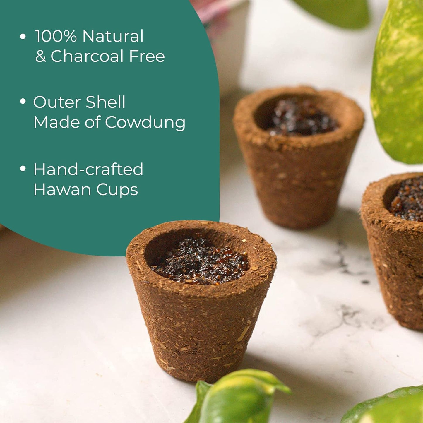 Bhaktivyam Natural Loban Premium Dhoop Cups48 Pcs, with Holder Plate, Lohban dhup cup (48)